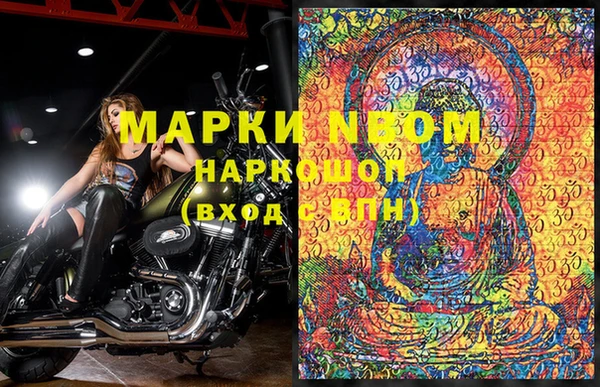 прущие крисы Горняк