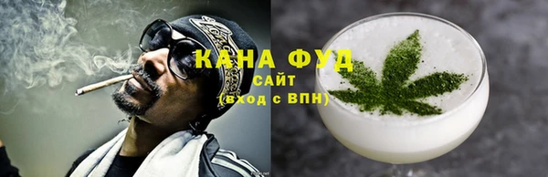 дмт Костерёво