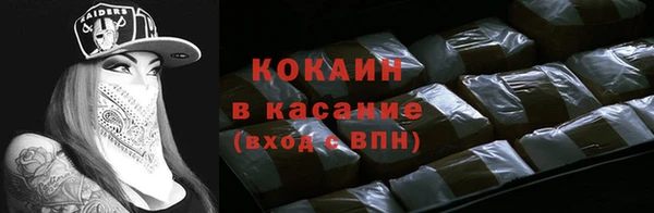 прущие крисы Горняк