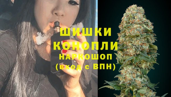 сатива Горно-Алтайск