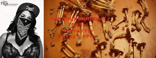 не бодяженный Волосово