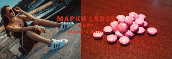 прущие крисы Горняк