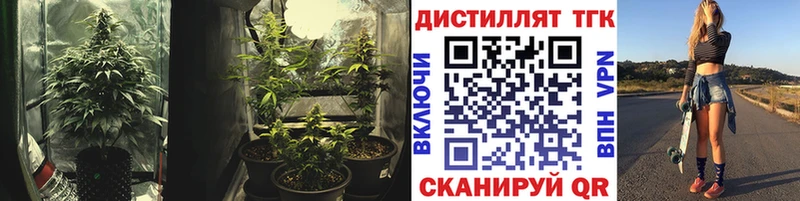 ТГК концентрат  ссылка на мегу онион  Елабуга 