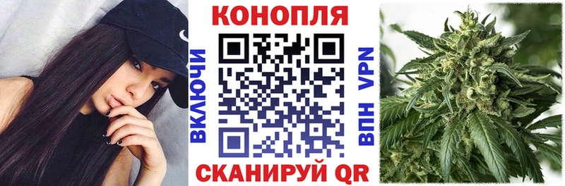 hydra ссылки  Елабуга  Марихуана ГИДРОПОН  наркошоп 